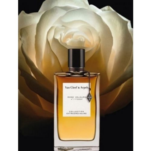 Van Cleef & Arpels Rose Velours Extraordinary Collection Van Cleef & Arpels Rose Velours Extraordinary Collection