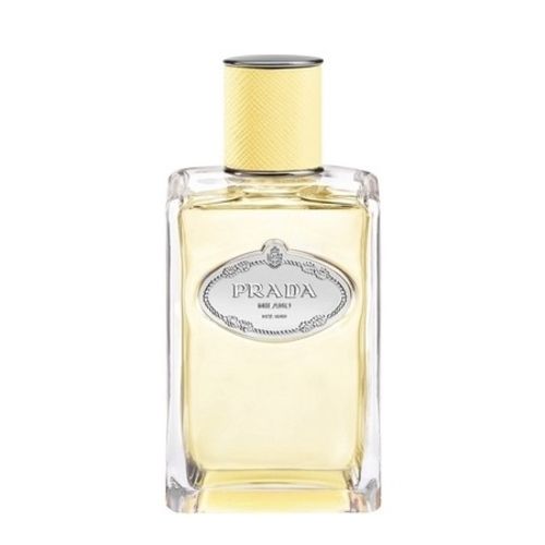 Prada - Mimosa Infusion