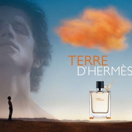 Terre d'Hermès le Parfum