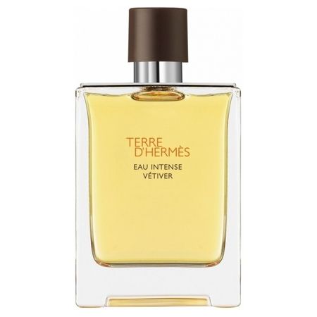Terre d'Hermès Intense Water Vetiver