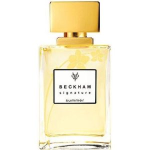 عطر سجنيتشر سمر فور هير ديفيد أند فكتوريا بيكهام