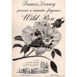 عطر وايلد روز فرانسيس ديني