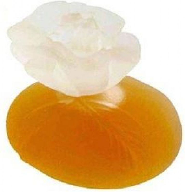 عطر كنزو كنزو