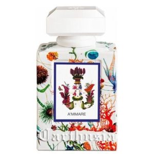 عطر كارثوسيا اماري