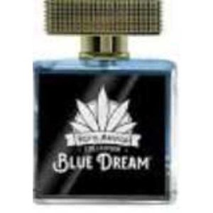 عطر اكسايرينا بلو دريم