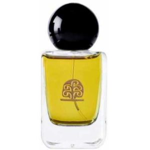 عطر يس يوزاك هوميج أبول كلي لايتس أند شادوز