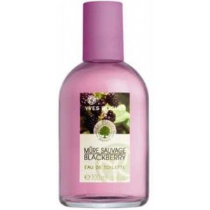 عطر إيف روشيه مور سوفاج