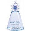 عطر إيف روشيه مينج شو