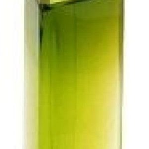 عطر فيري ارزستبل سمر فور من 2006 جيفنشي