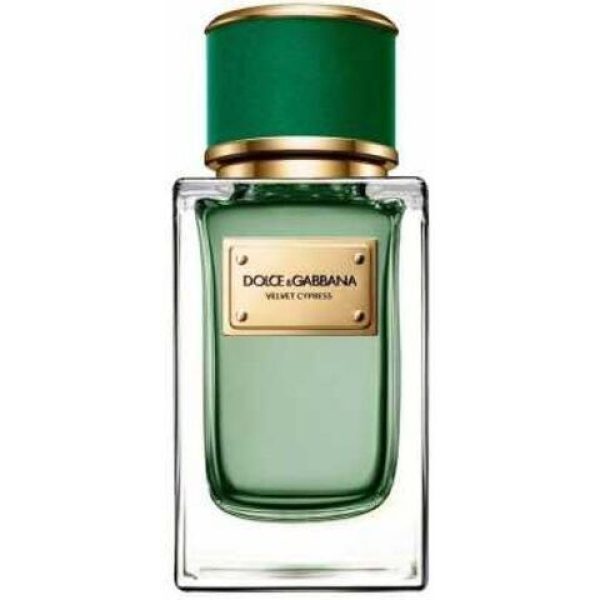 عطر فلفيت سيبرس دولشي أند غابانا