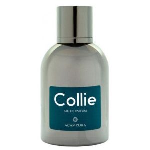 عطر برونو اكامبورا كولي يو دي بارفيوم