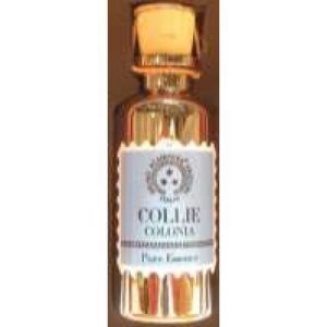 عطر كولي كولونيا برونو أكمبورا