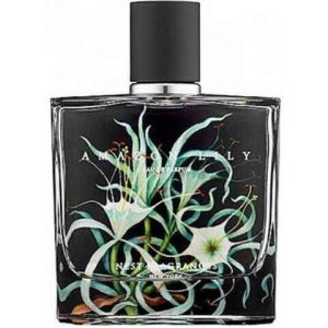 عطر نست أمازون ليلي