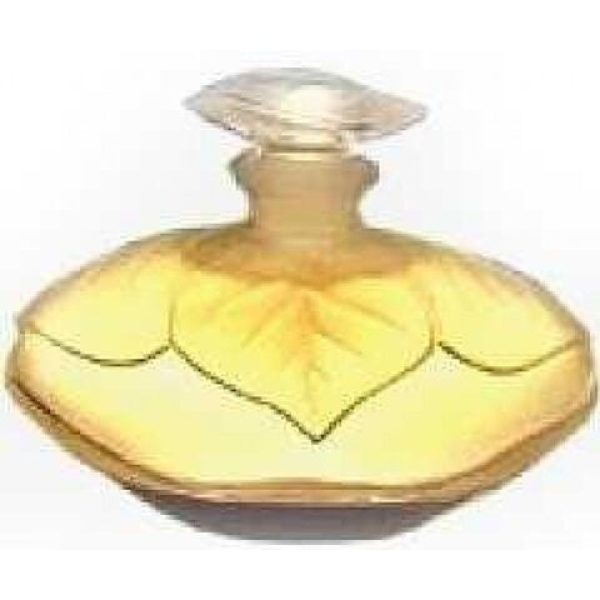 عطر ايلي لانسيتي