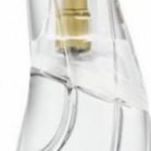 عطر دونا كاران كشمير ميست لوكس