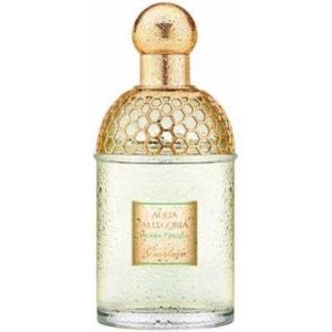 عطر أكوا أليغوريا هيربا فريسكا جيرلان