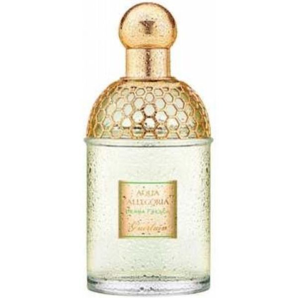 عطر أكوا أليغوريا هيربا فريسكا جيرلان