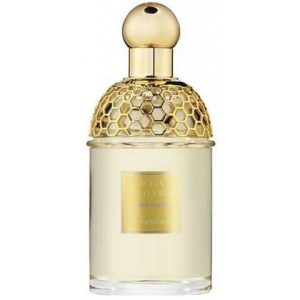 عطر أكوا أليغوريا جاسمينورا جيرلان