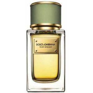 عطر فلفيت برغموت دولشي أند غابانا