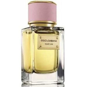 عطر فلفيت لوف دولشي أندا غابانا