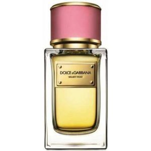 عطر فلفيت روز دولشي أند غابانا