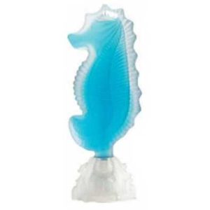 عطر سي جيولز سي هورس