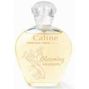 عطر كالين بلومينج مومنتس جريس