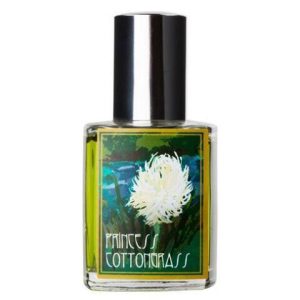 عطر لاش برنسس كوتونجراس