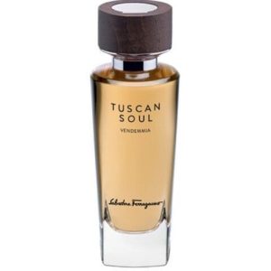 عطر فنديميا سلفاتور فيراغامو