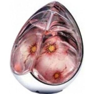 عطر الكساندر ماكوين كينجدوم ليمتد اديشن 2004