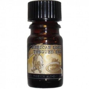 Mexican Long-Tongued Bat