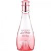 Cool Water Sea Rose Caribbean Summer Edition