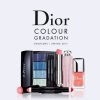 Look Dior Color Gradation