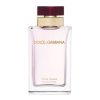 Dolce & Gabbana – For Women