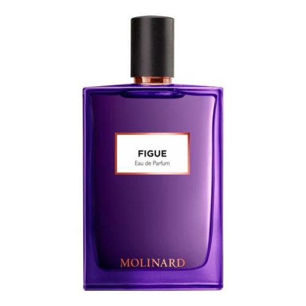 Fig: The beautiful Mediterranean from Molinard