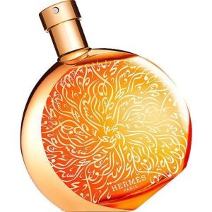 Elixir des Merveilles Édition Collector