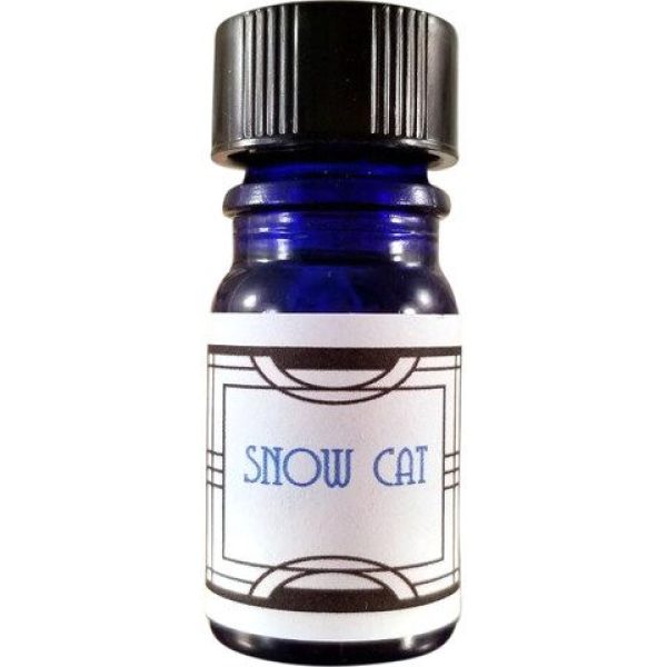 Snow Cat