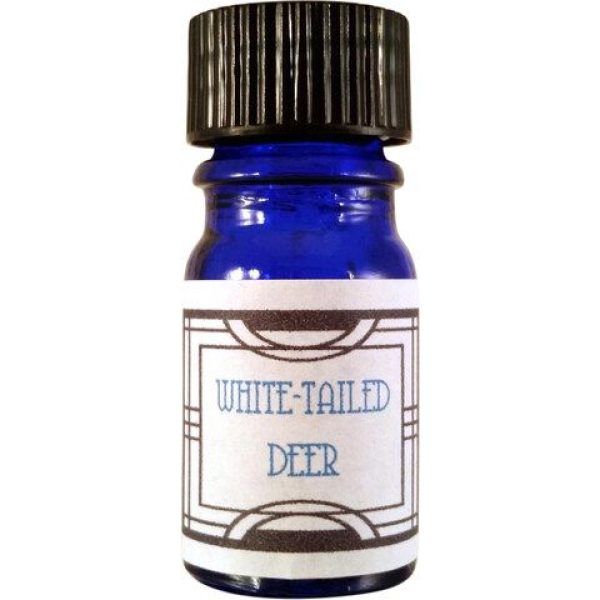 White-tailed Deer