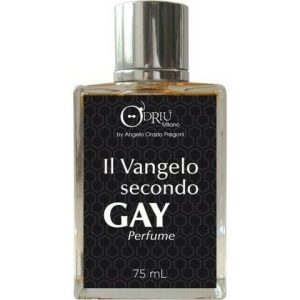 Il Vangelo Secondo Gay