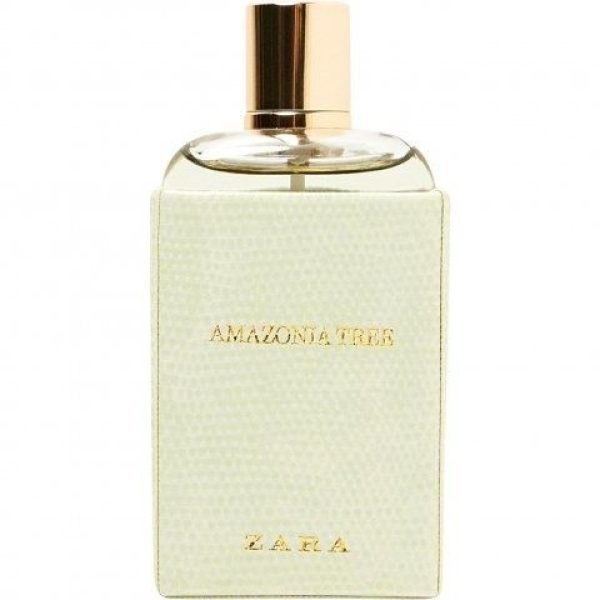 Amazonia Tree