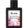 Blossom Orchid   for Women