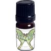 Luna Moth   for Women