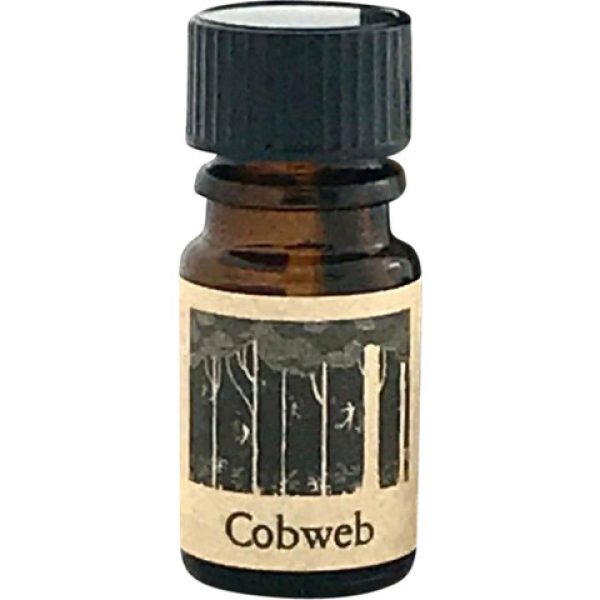 Cobweb   for Women