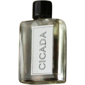 Cicada   for Women