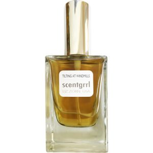 Tilting at Windmills   for Unisex