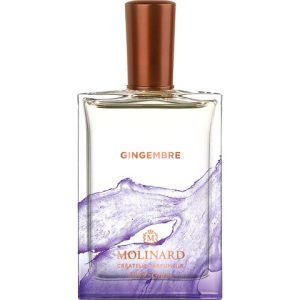 Gingembre   for Unisex