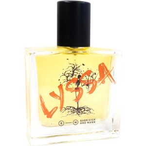 Lyssa
 EAU DE PARFUM  for Men