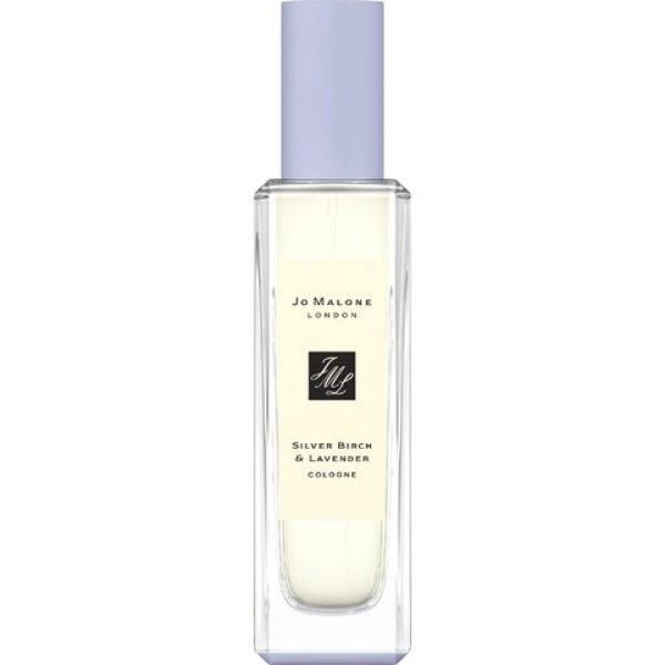 Silver Birch & Lavender   for