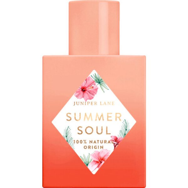 Summer Soul   for
