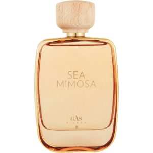 Sea Mimosa   for